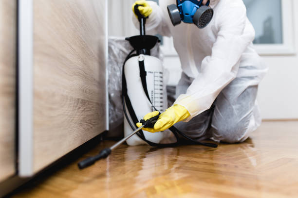 Professional Pest Control in Woodfin, NC