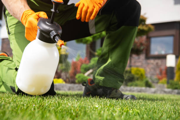 Best Rat Extermination Near Me  in Woodfin, NC