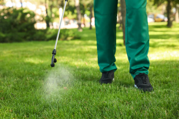 Best Flea Control Services  in Woodfin, NC