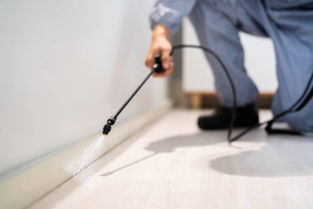 Best Local Pest Control Services  in Woodfin, NC