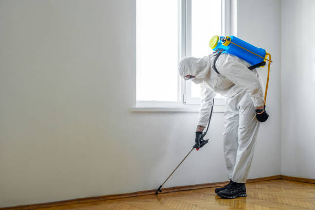 Best Mosquito Control Services  in Woodfin, NC
